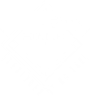 Разработано HCIGAR 200